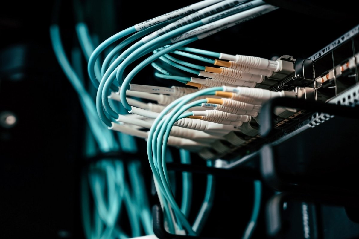 Câble réseau © ASKG / Shutterstock