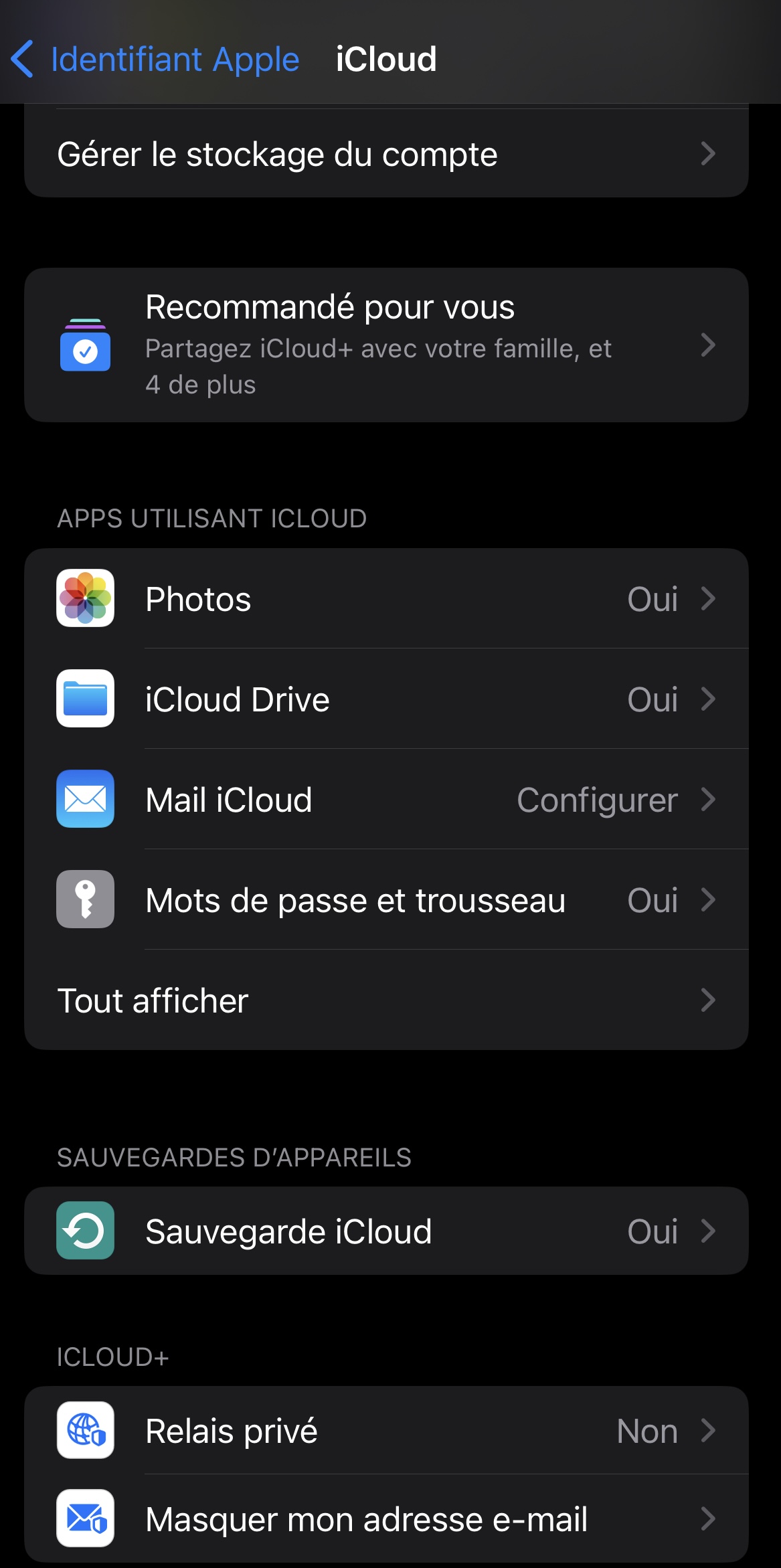 WhatsApp iCloud backup