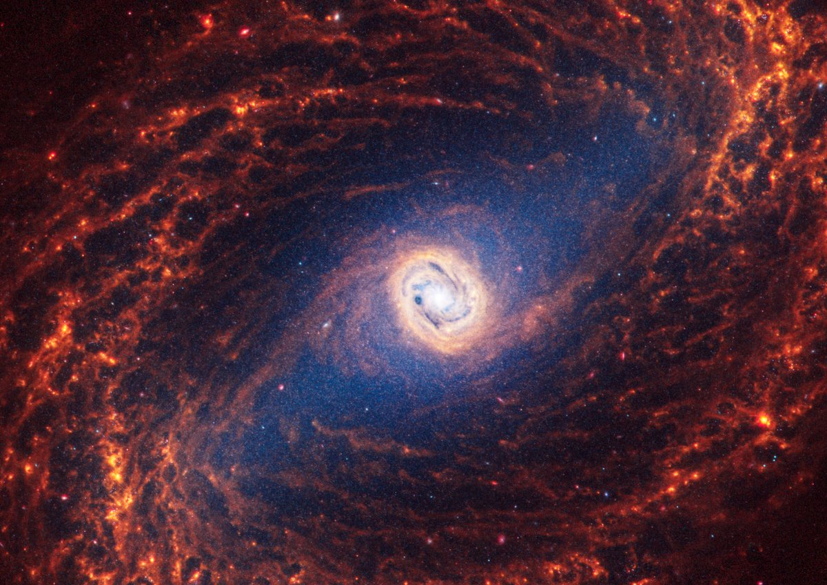 La galaxie NGC1433 fait partie des 19 spirales observées. © NASA, ESA, CSA, STScI, J. Lee (STScI), T. Williams (Oxford), PHANGS Team
