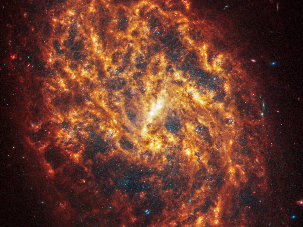 James Webb PHANGS Galaxy infrared structure NGC 1087 © NASA, ESA, CSA, STScI, J. Lee (STScI), T. Williams (Oxford), R. Chandar (UToledo), PHANGS Team
