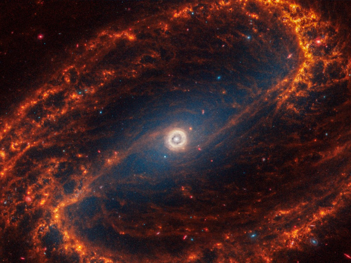 Même si par définition on ne peut pas le voir, tout porte à croire qu&#039;il y a un trou noir supermassif au centre de cette galaxie. © NASA, ESA, CSA, STScI, J. Lee (STScI), T. Williams (Oxford), PHANGS Team