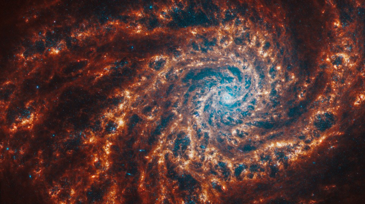 Petit vertige, c&#039;est vraiment joli, chez les voisins galactiques. ©  NASA, ESA, CSA, STScI, J. Lee (STScI), T. Williams (Oxford), PHANGS Team