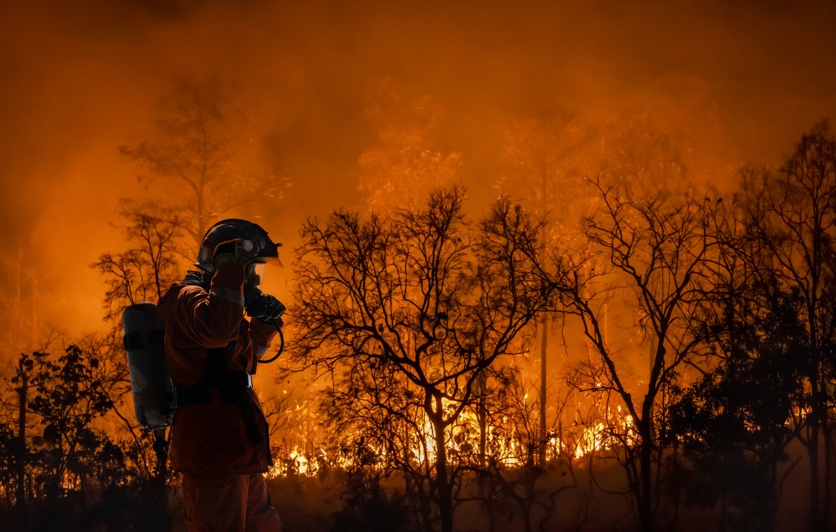  En 2023, les incendies ont détruit plus de 400 millions d'hectares sur le globe © Toa55 / Shutterstock