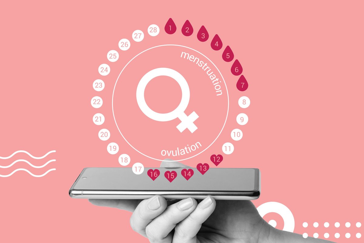 Les applications de suivi de l'ovulation et de la fertilité sont légion sur smartphone © LariBat / Shutterstock