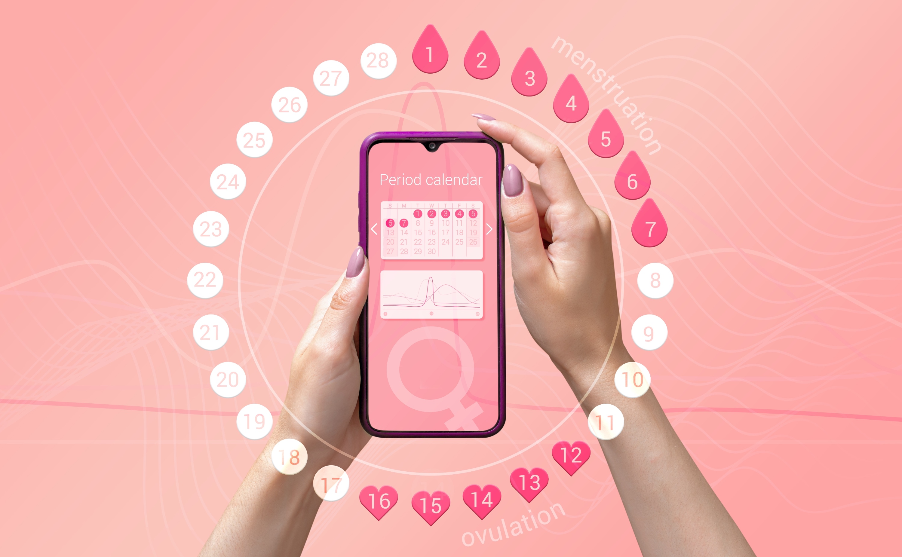 Les meilleures applications pour suivre vos cycles menstruels en 2024