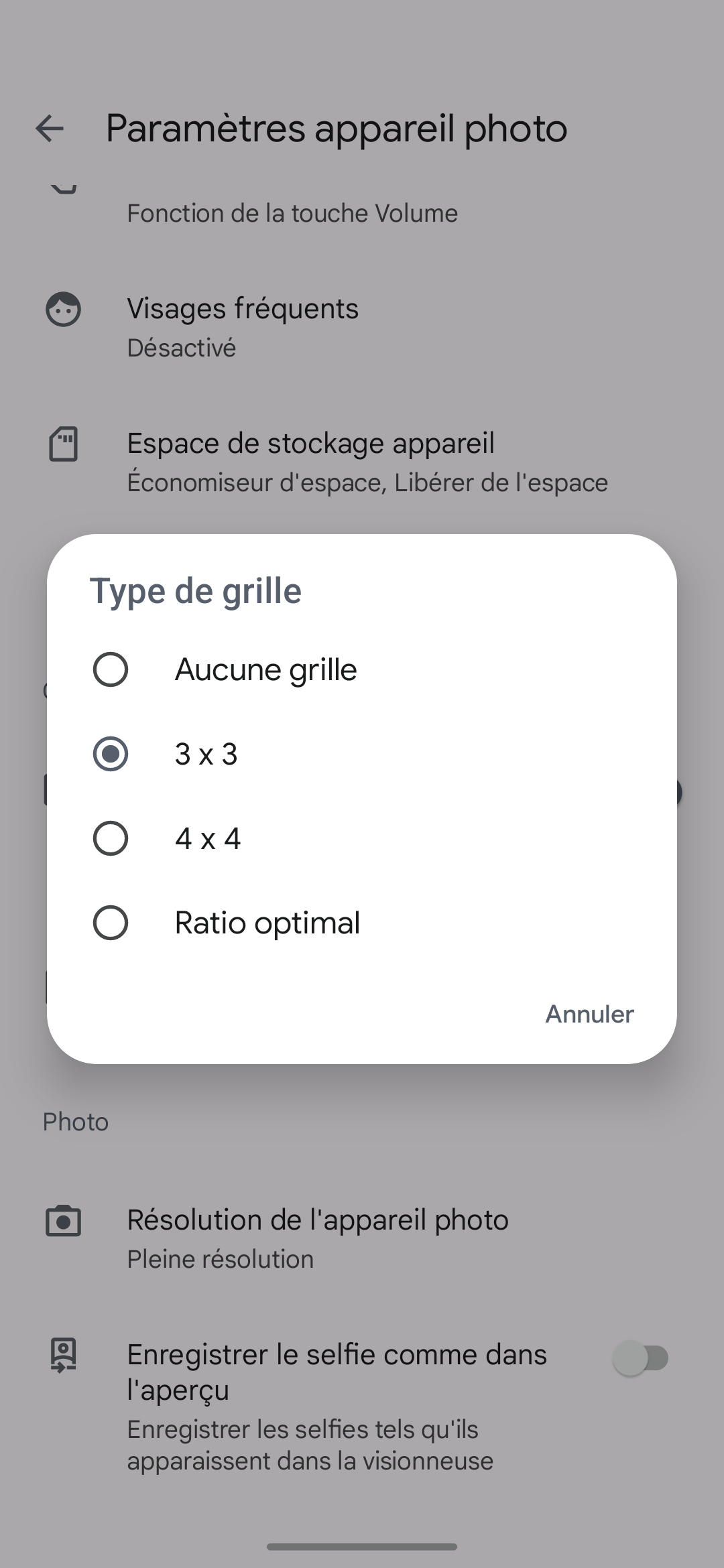 Pixel 7 Photo Grille © © Mathieu Grumiaux pour Clubic