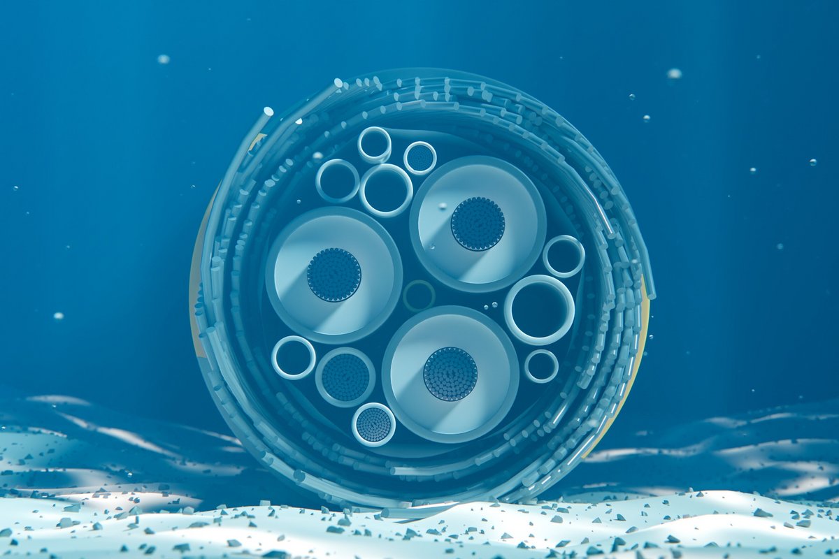 Visuel d'un câble de communication sous-marin © KateStudio / Shutterstock