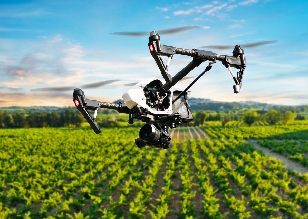 Drone volant au-dessus de beaux paysages avec des vignobles © Jag_cz / Shutterstock