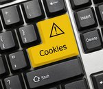 Cookies, supercookies, cookies zombies : comment s’en protéger efficacement ?