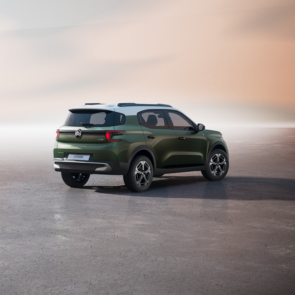 A family vehicle which also exists in thermal and hybrid versions to meet the needs of as many people as possible © Citroën