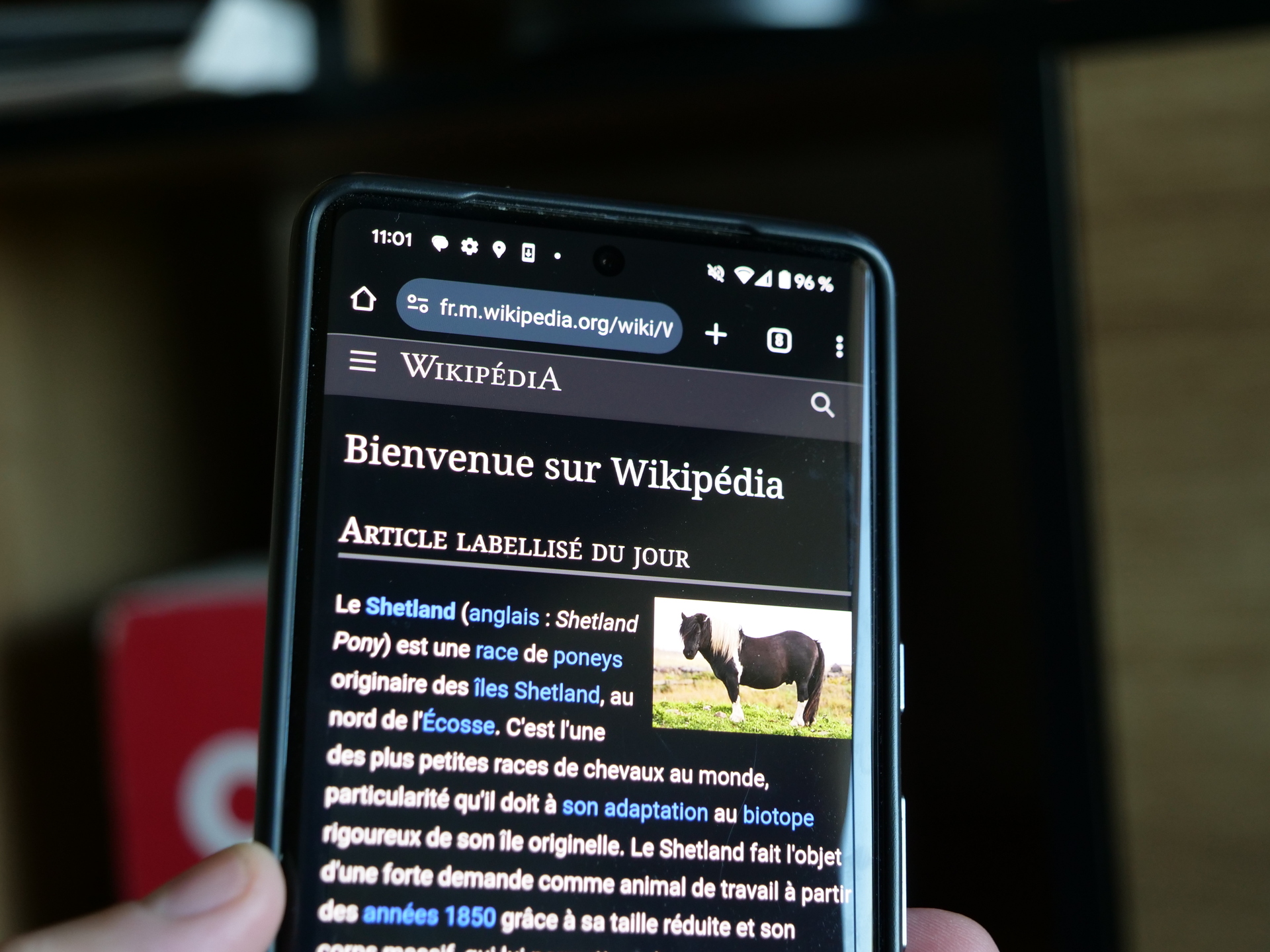 Wikipédia propose enfin son 