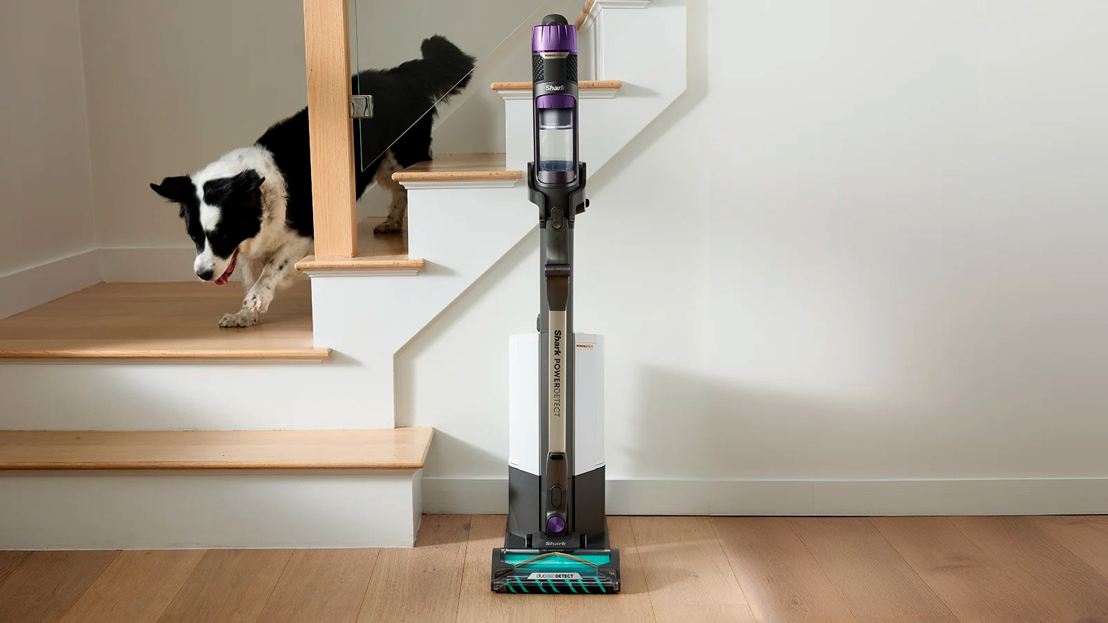 Poils d'animaux, tapis, miettes : le Shark PowerDetect Clean & Empty aspire tous les déchets, sans broncher