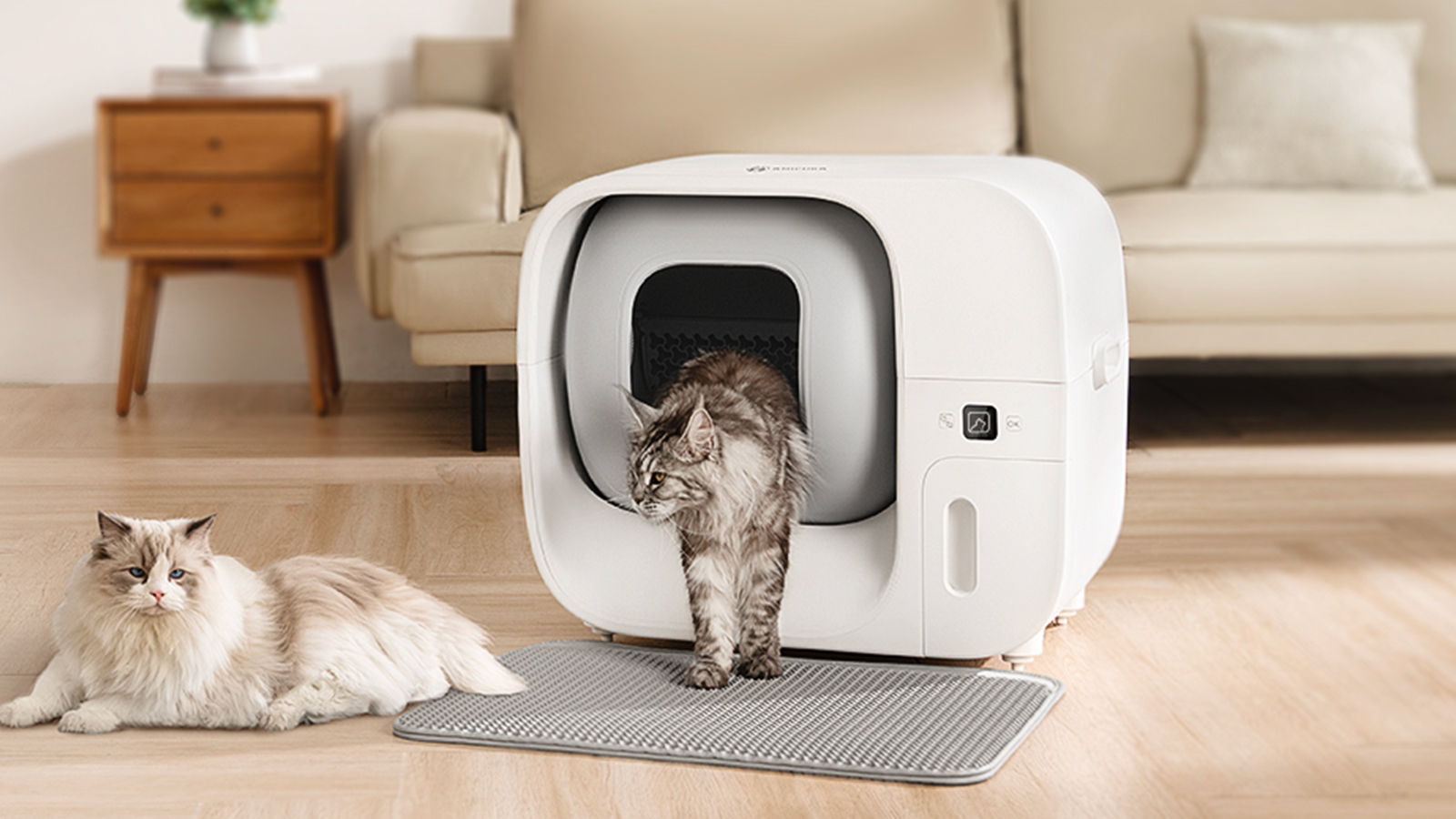 Litière connectée Amicura Cura3 : une promo Prime Day à ne pas manquer
