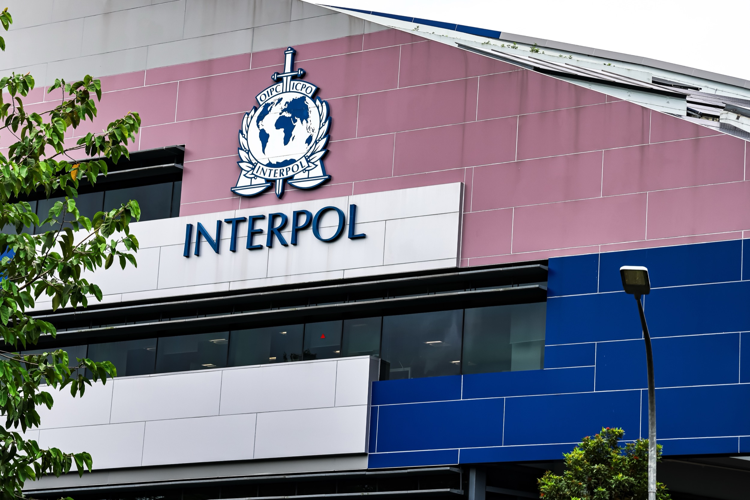 Crypto, scams, faux : ce que révèle la méga-opération d'Interpol contre la cybercriminalité en Afrique