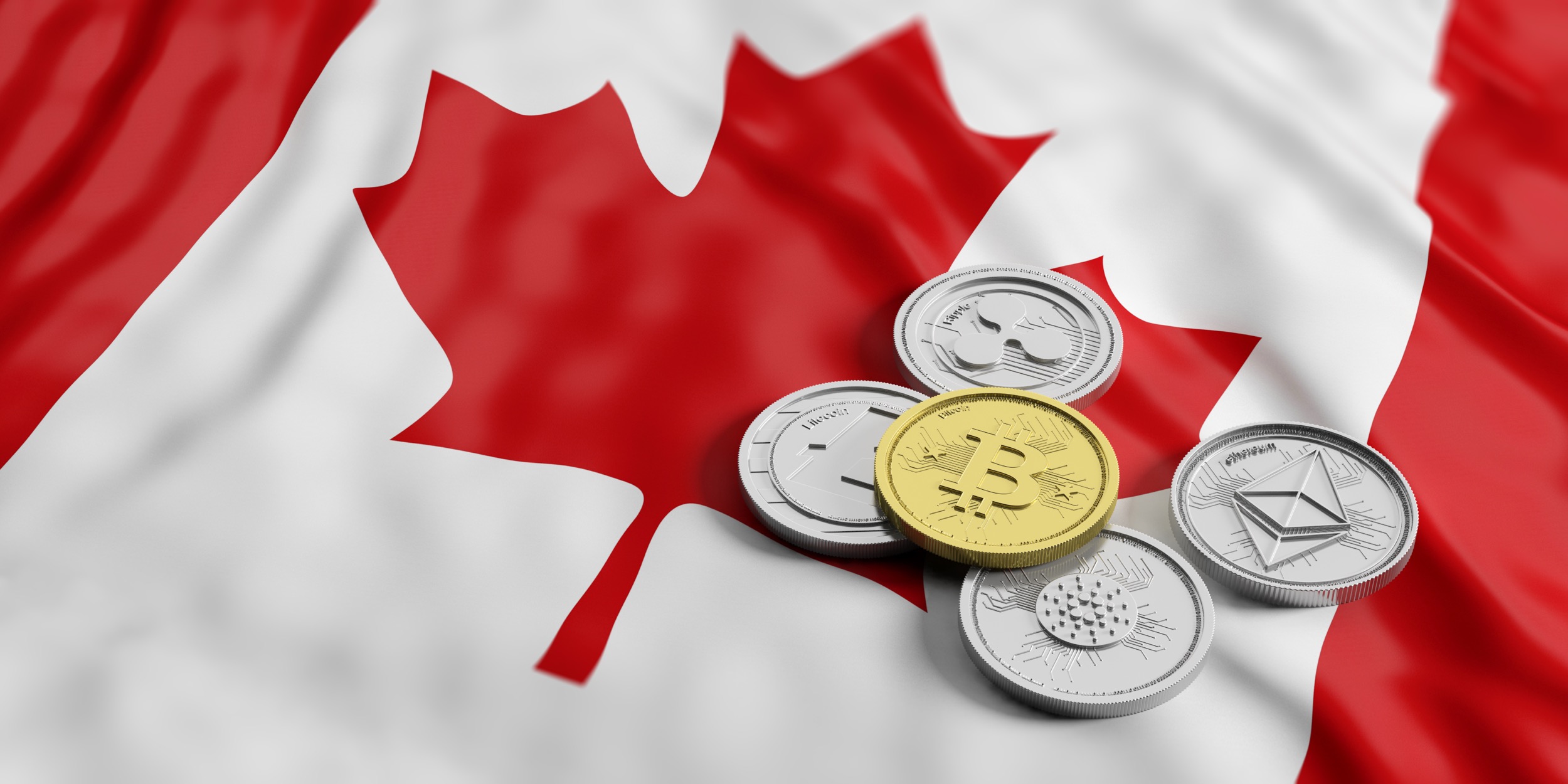 La police canadienne frappe un gros coup, ferme la plateforme TradeOgre et saisi $56 millions