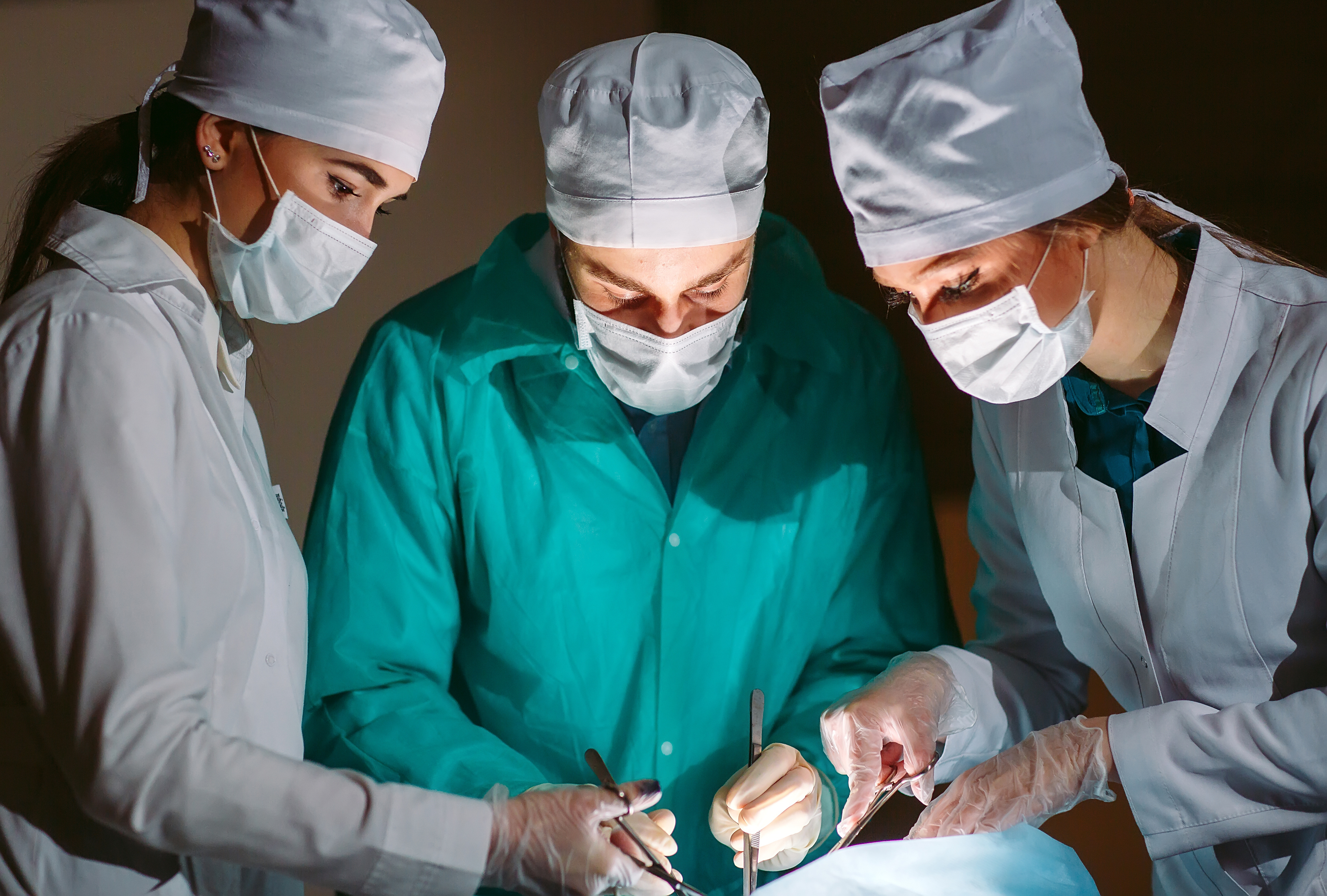 Des organes transformés en verre : une révolution médicale qui pourrait sauver de milliers de vies