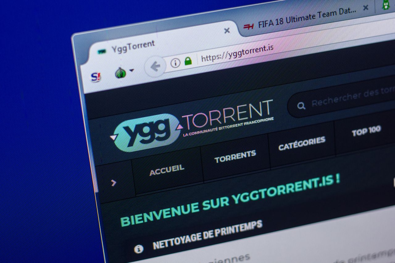  Ils vont partir avec la caisse : la communauté de YggTorrent redoute un passage en force