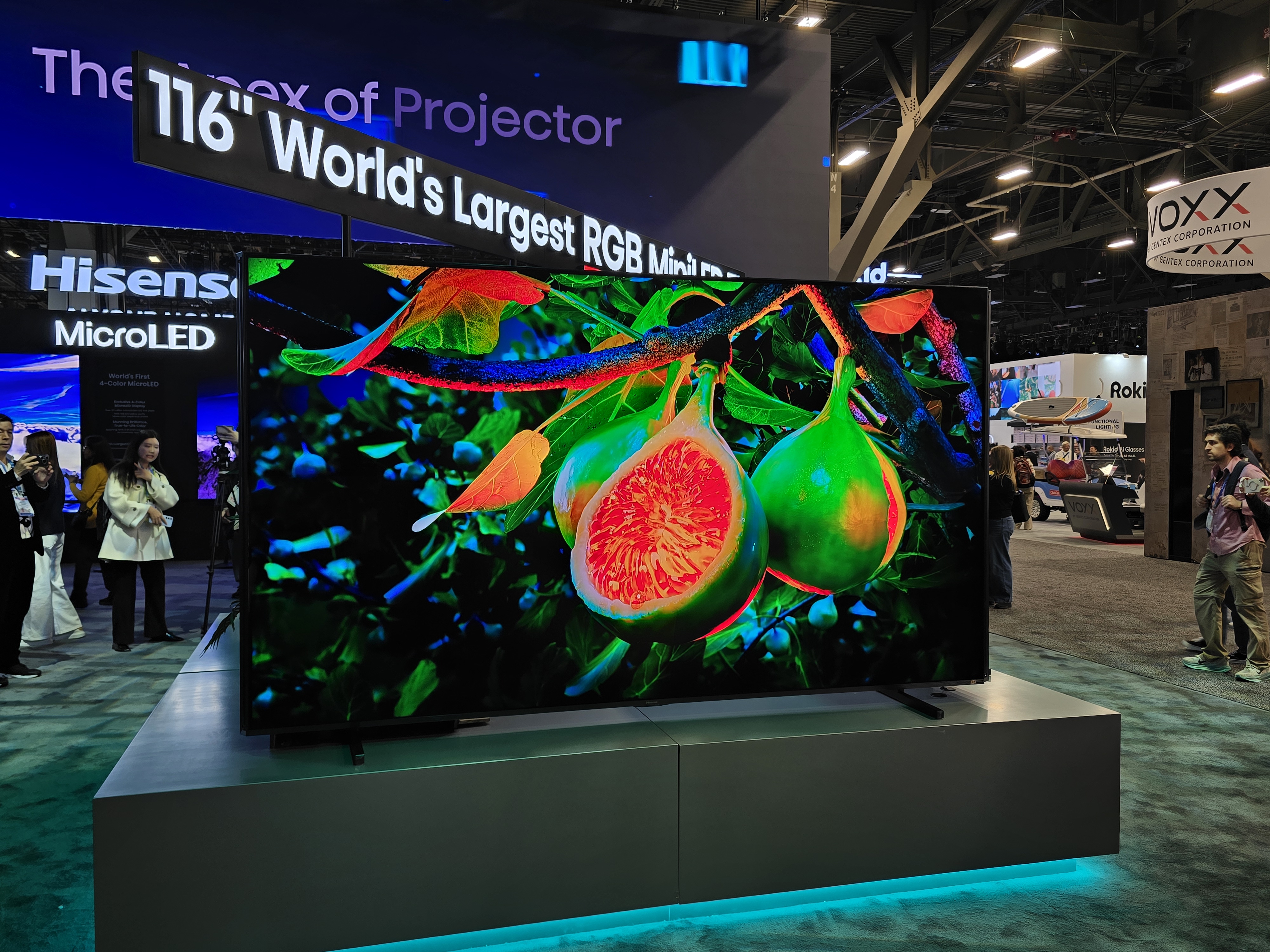 RGB MiniLED evo et MicroLED RGBY : deux évolutions majeures chez Hisense pour 2026