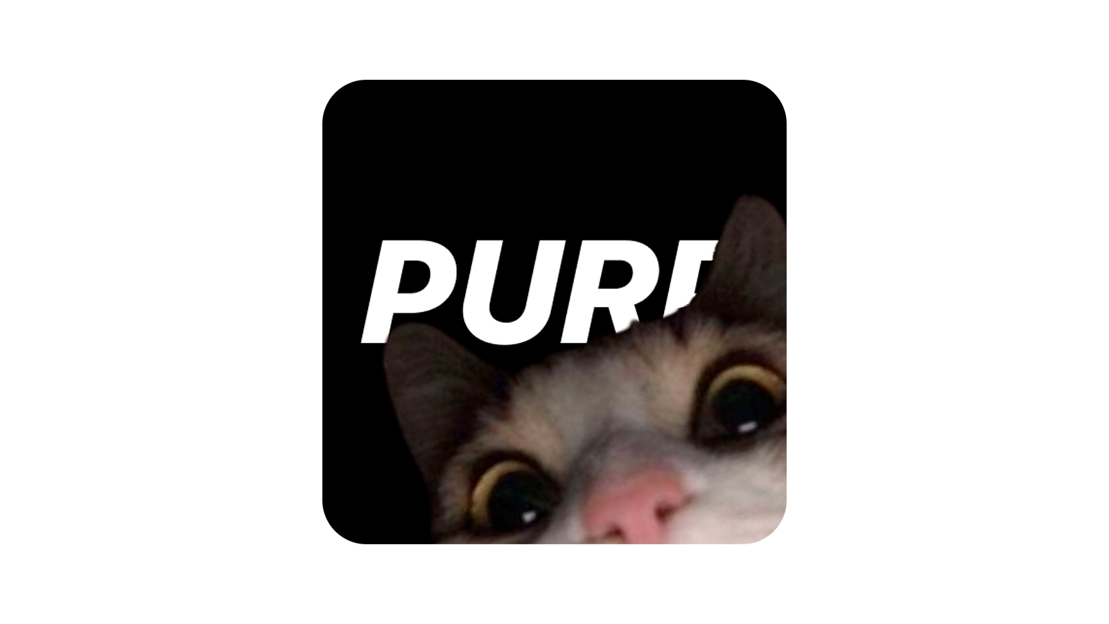 Télécharger Purp (gratuit) iOS, Android - Clubic