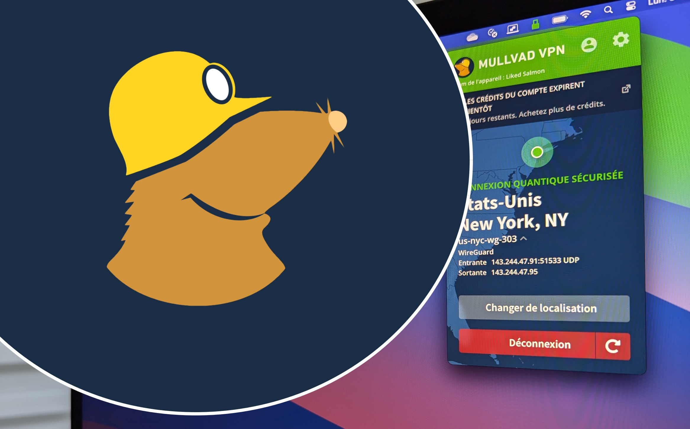 "Il y a une mégatendance mondiale vers plus d'autoritarisme, de censure et de surveillance" - Interview Mullvad