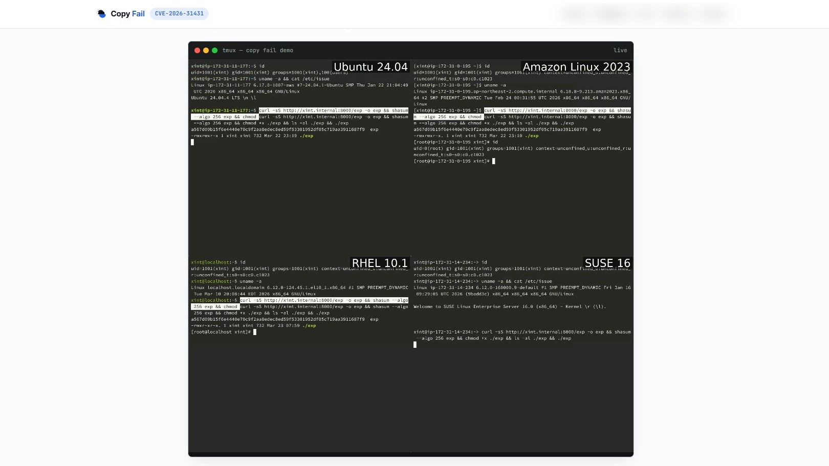 Copy Fail, l'impensable faille Linux vieille de 9 ans qui donne les pleins pouvoirs à n'importe quel utilisateur