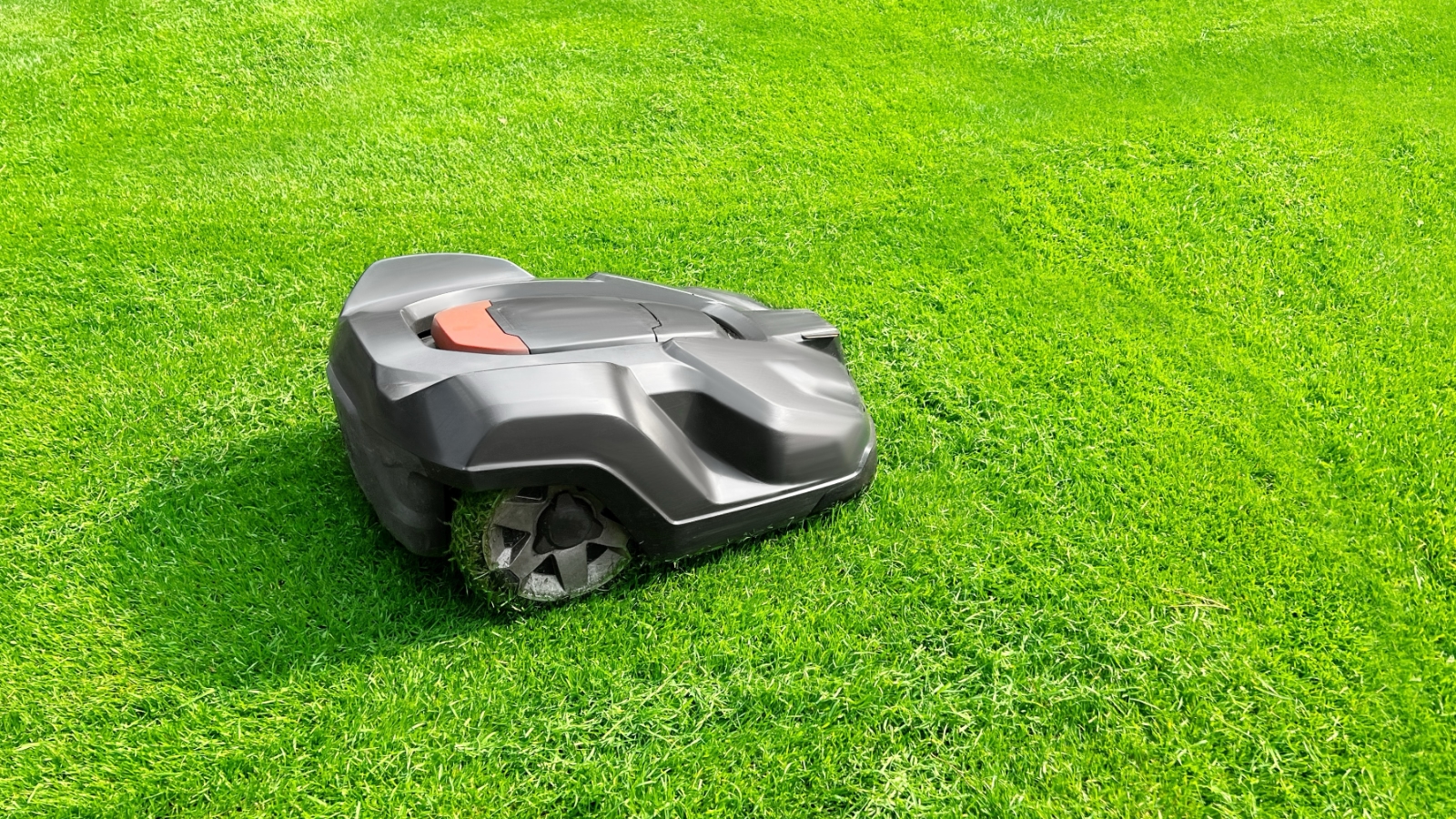 Robot tondeuse le dimanche : pourquoi son silence ne vous donne pas tous les droits