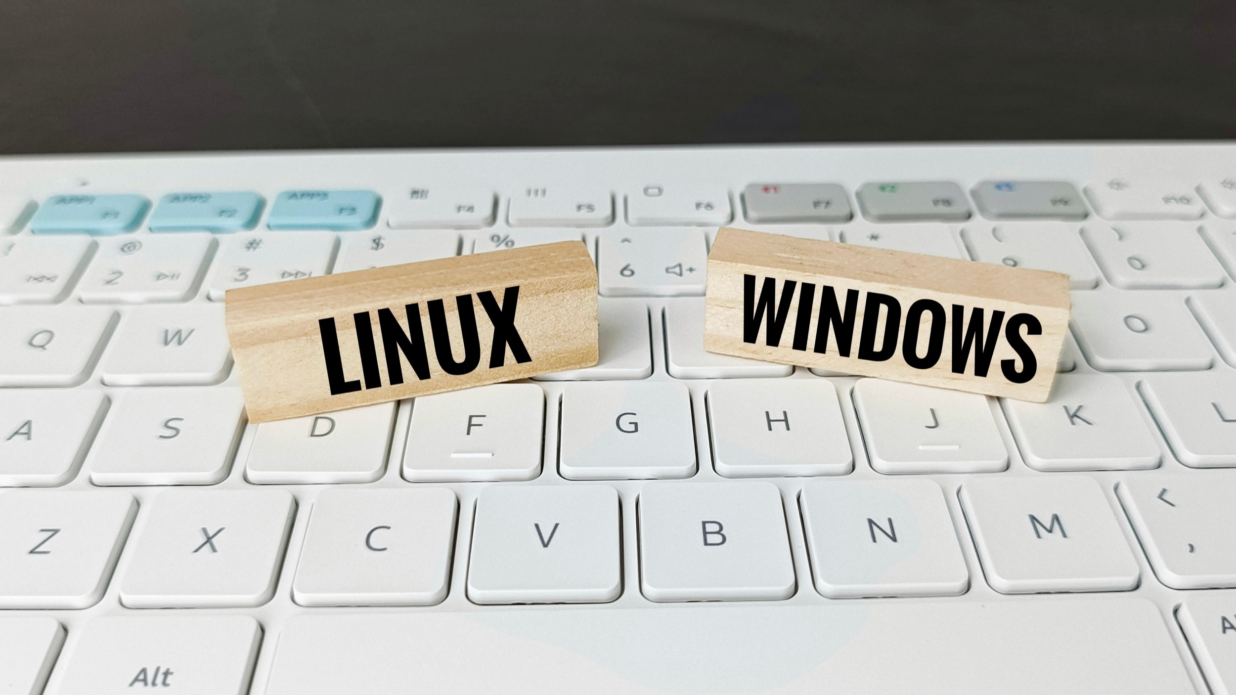 Windows 11 se rapproche encore de Linux pour séduire les développeurs