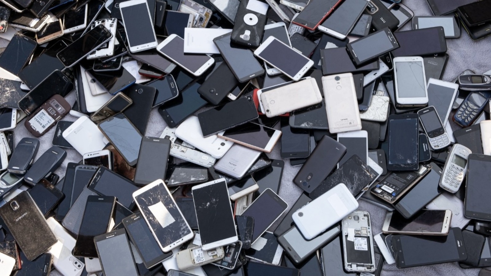 Et si vos vieux smartphones devenaient des serveurs plus écologiques 
