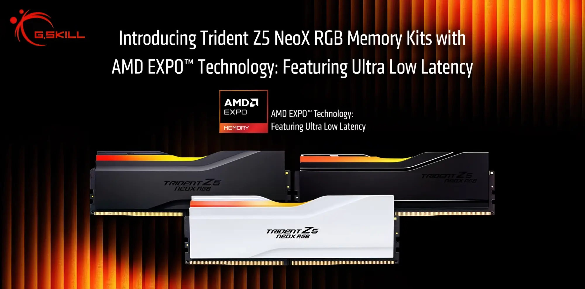 Les premiers kits de mémoire AMD EXPO ULL sont exorbitants, même dans le contexte actuel