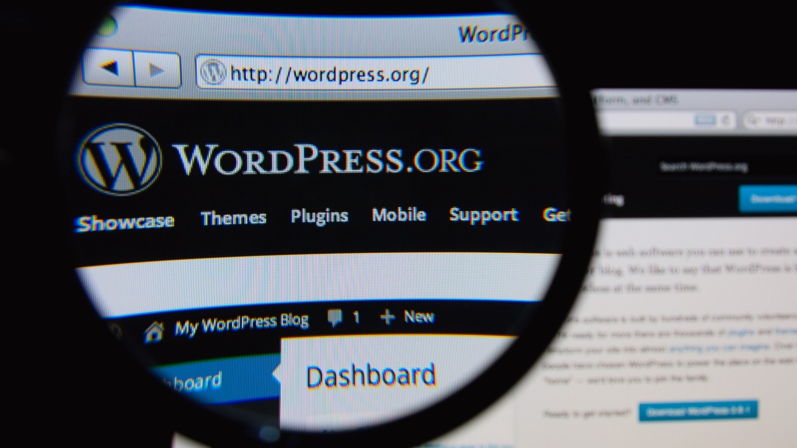 WordPress lance enfin une extension Chrome officielle pour votre site