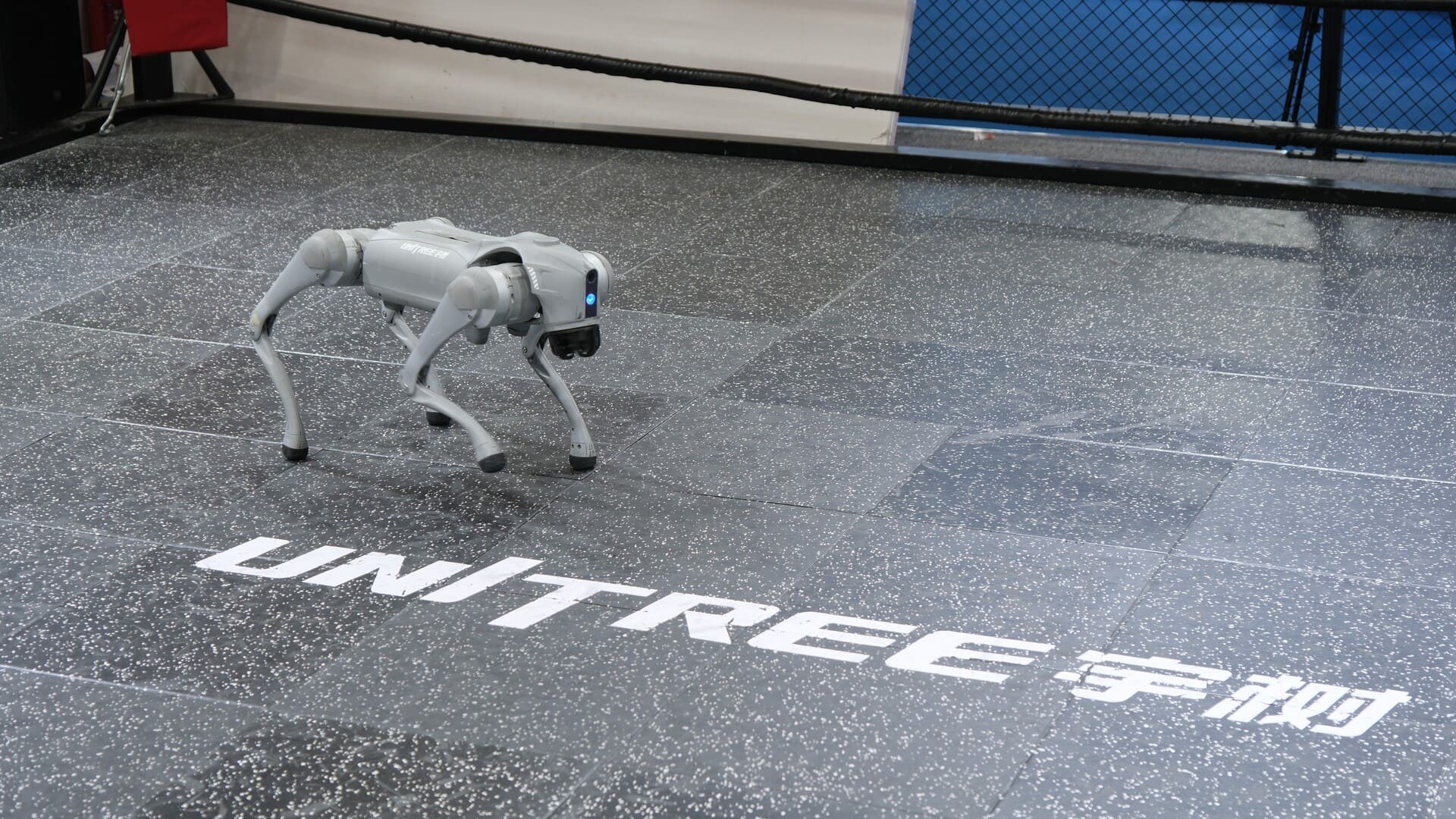 Les robots humanoïdes chinois battent peut-être des records, son champion Unitree dévisse pourtant en Bourse