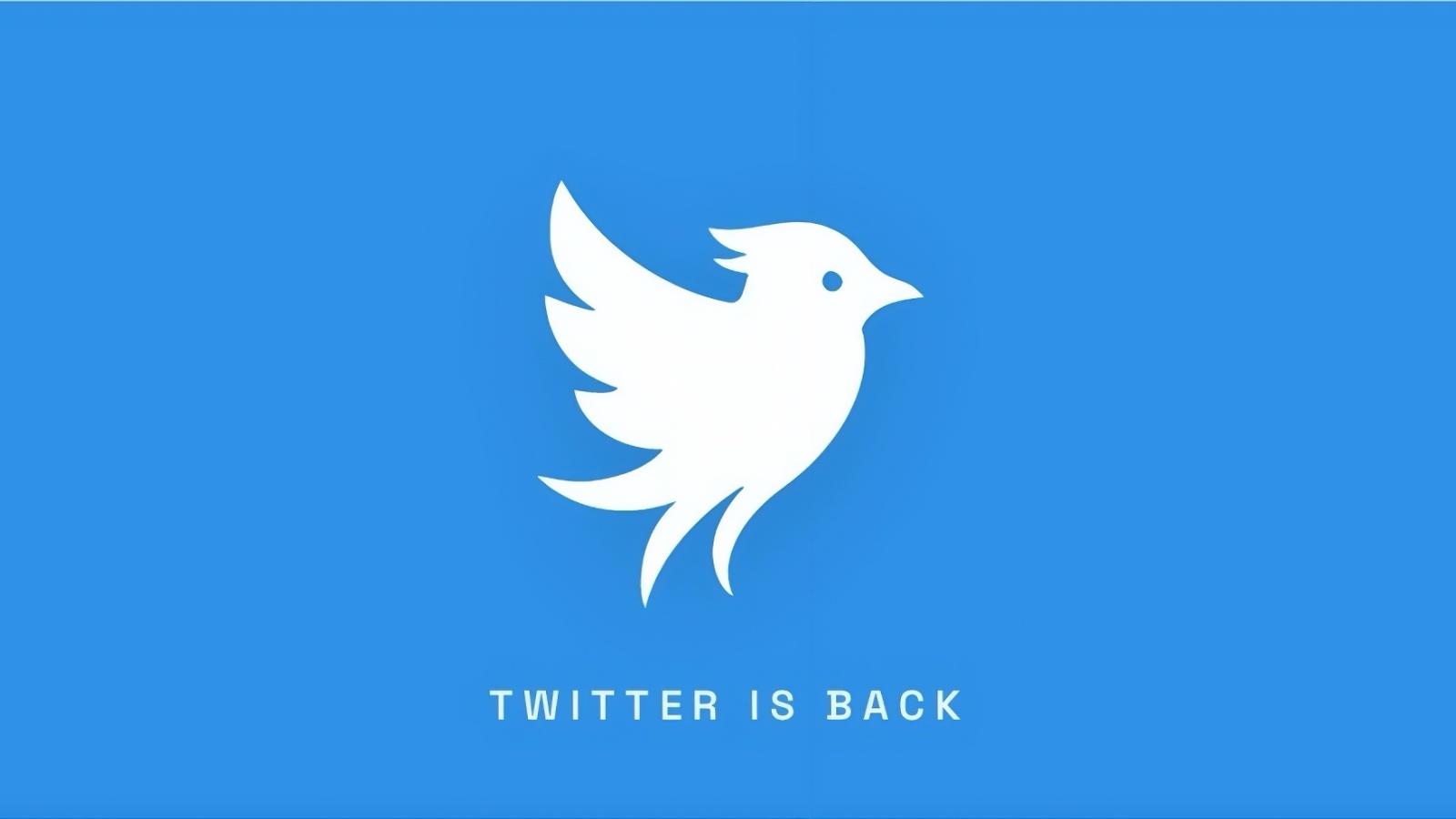 Twitter.now : Operation Bluebird ouvre l'accès anticipé à sa version du réseau social abandonné par X