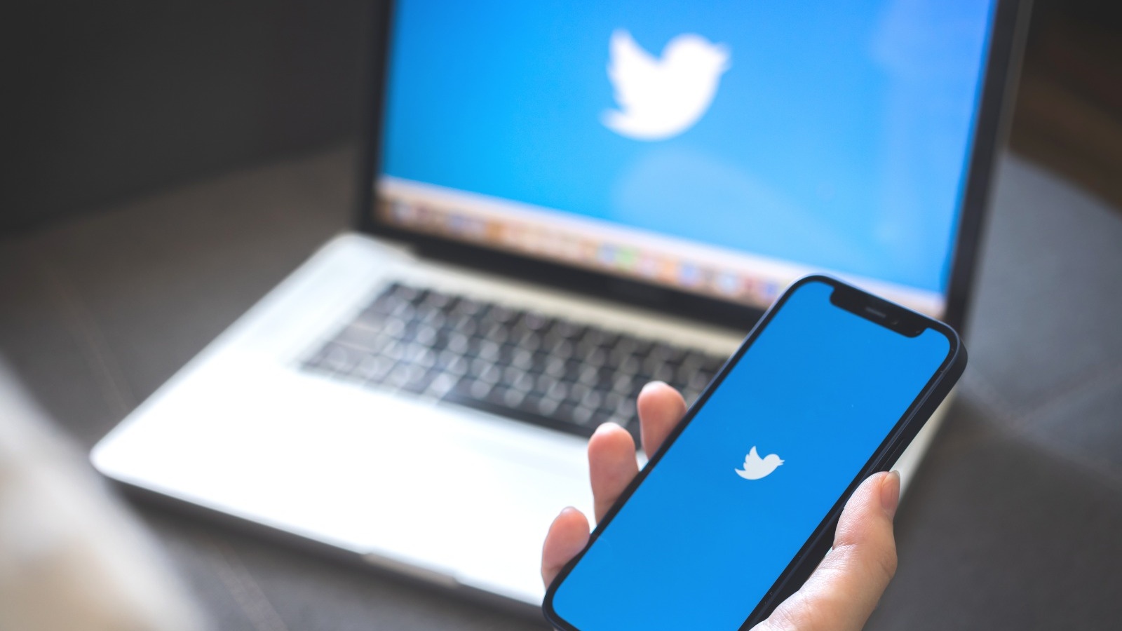 Twitter revient, mais la justice interdit à son créateur d'utiliser son propre nom