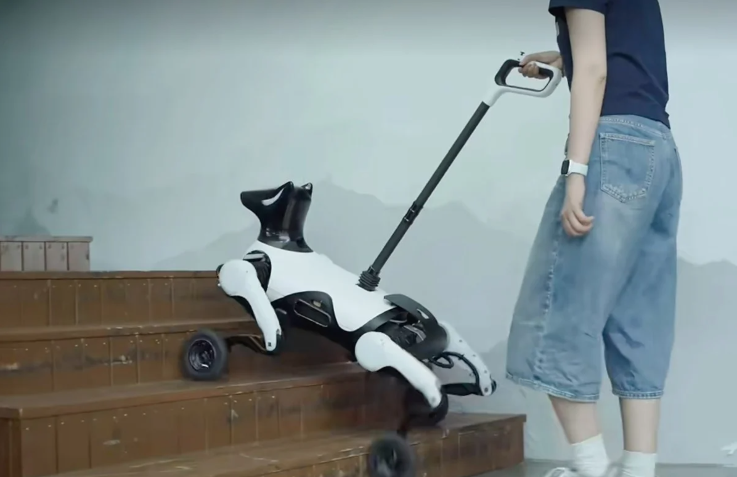 En Chine, les premiers chiens-robots pour aveugle commencent à apparaître