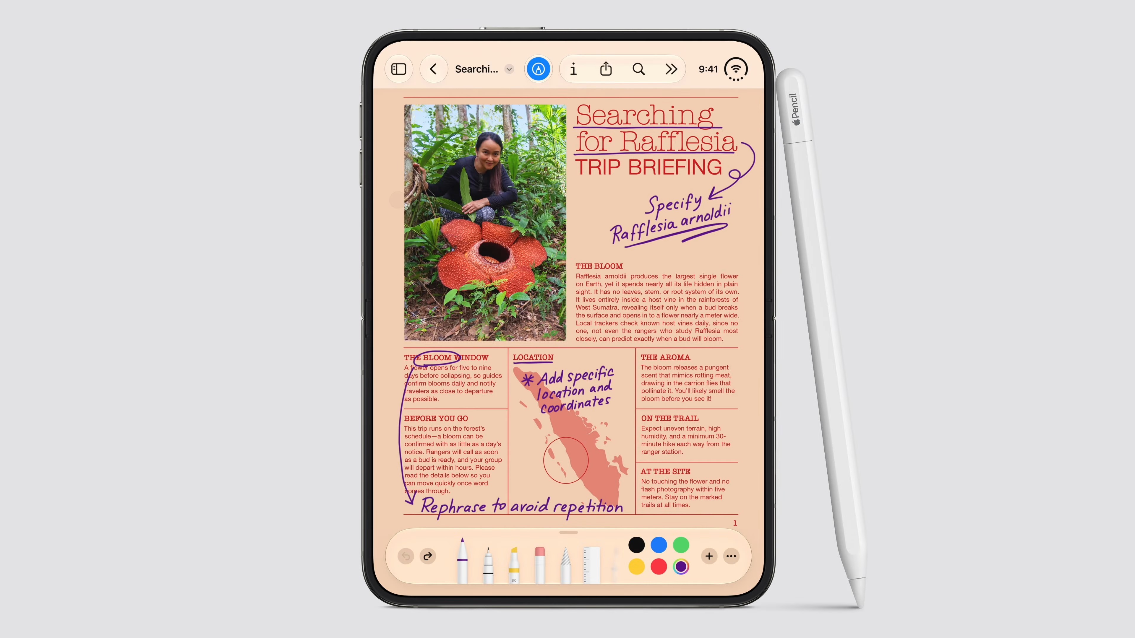 Pourquoi Apple a abandonné son Apple Pencil plus court conçu pour l’iPhone Duo