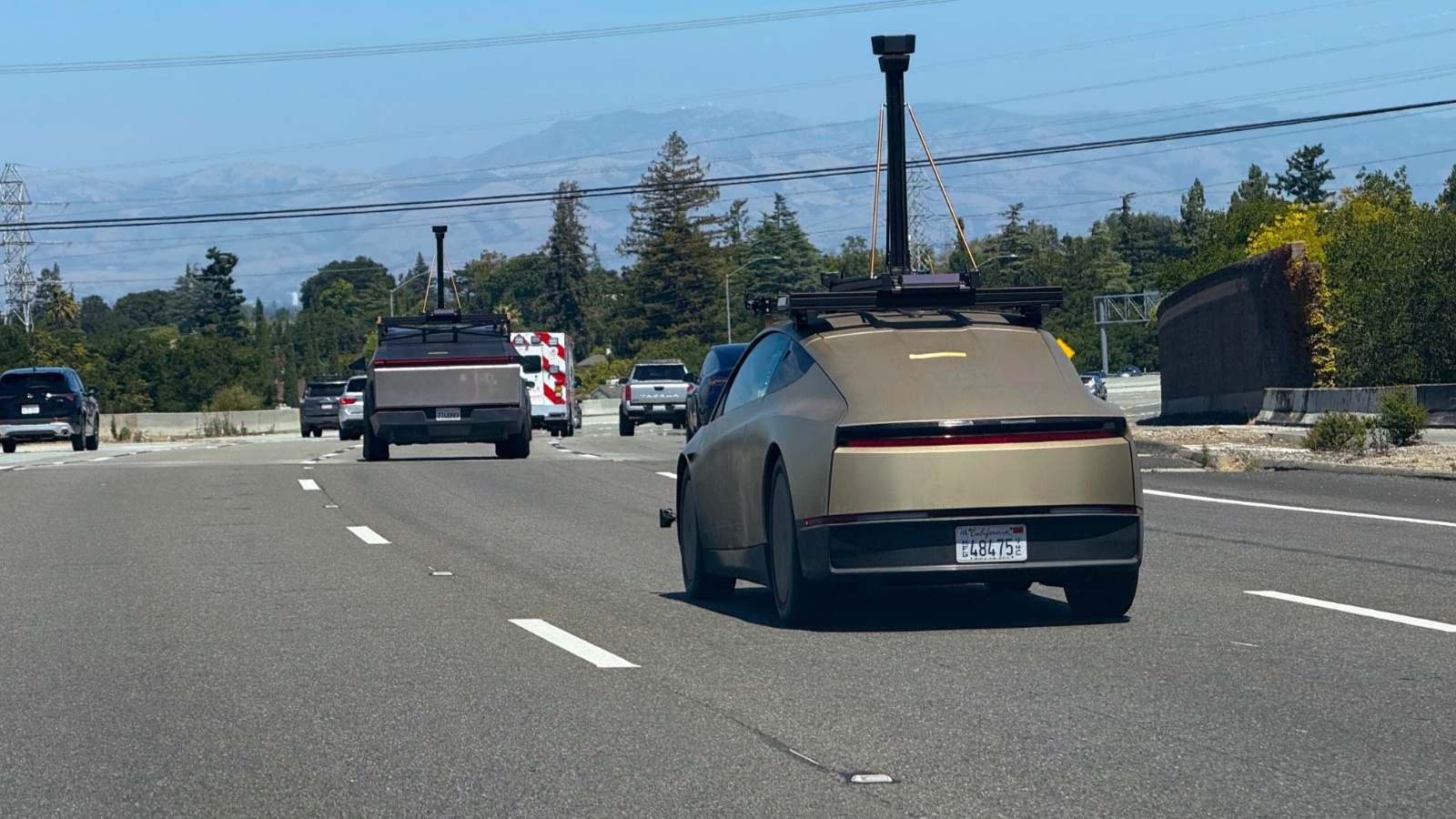 Elon Musk reconnaît que les Robotaxis Tesla voient mal certains animaux la nuit