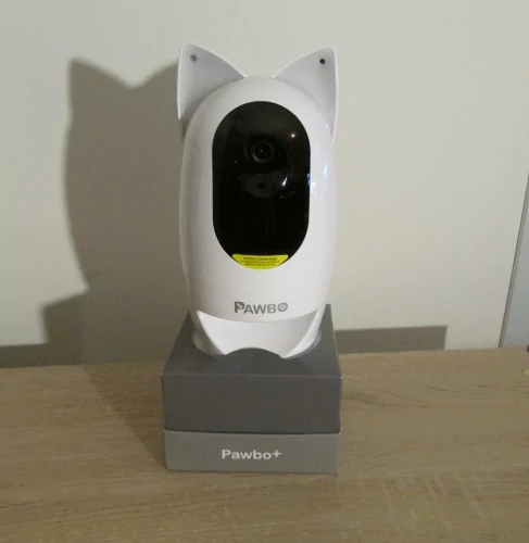Morin - La caméra de surveillance chien et chat, une bonne idée